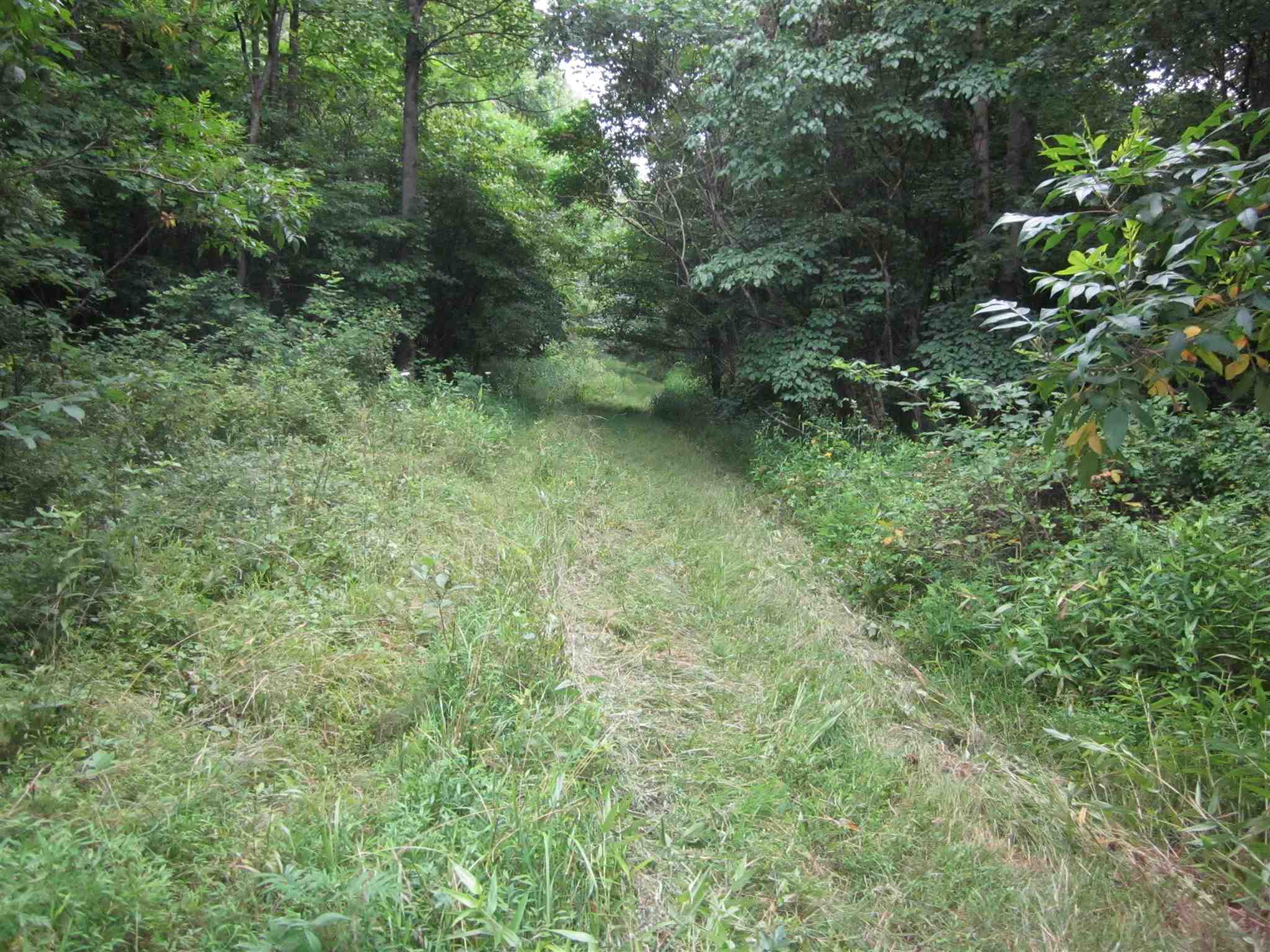 154.79-acres Straight Line Road Freedom, IN 47431 - Photo 18 of 36 Gallery Image 18