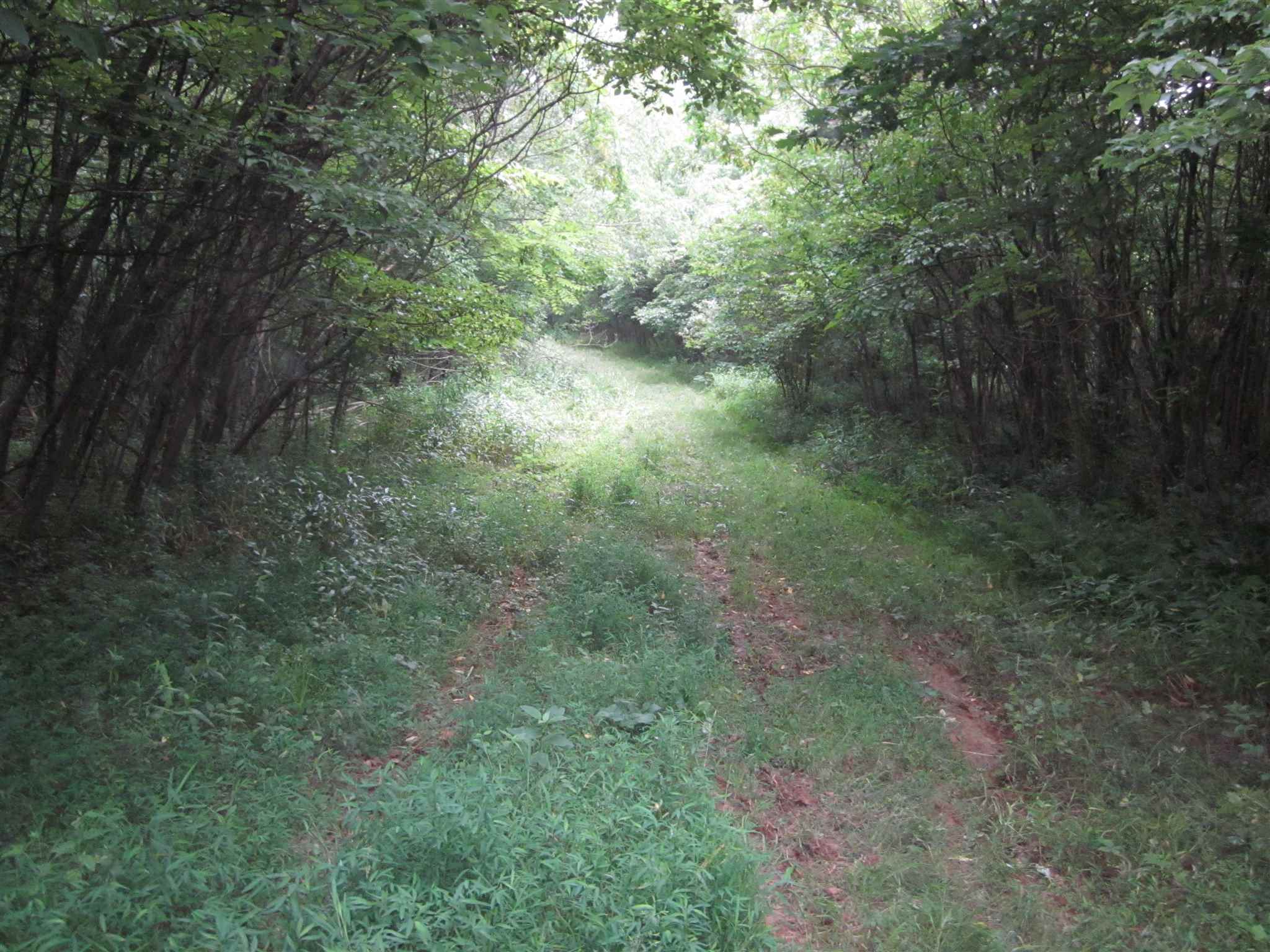 154.79-acres Straight Line Road Freedom, IN 47431 - Photo 22 of 36 Gallery Image 22