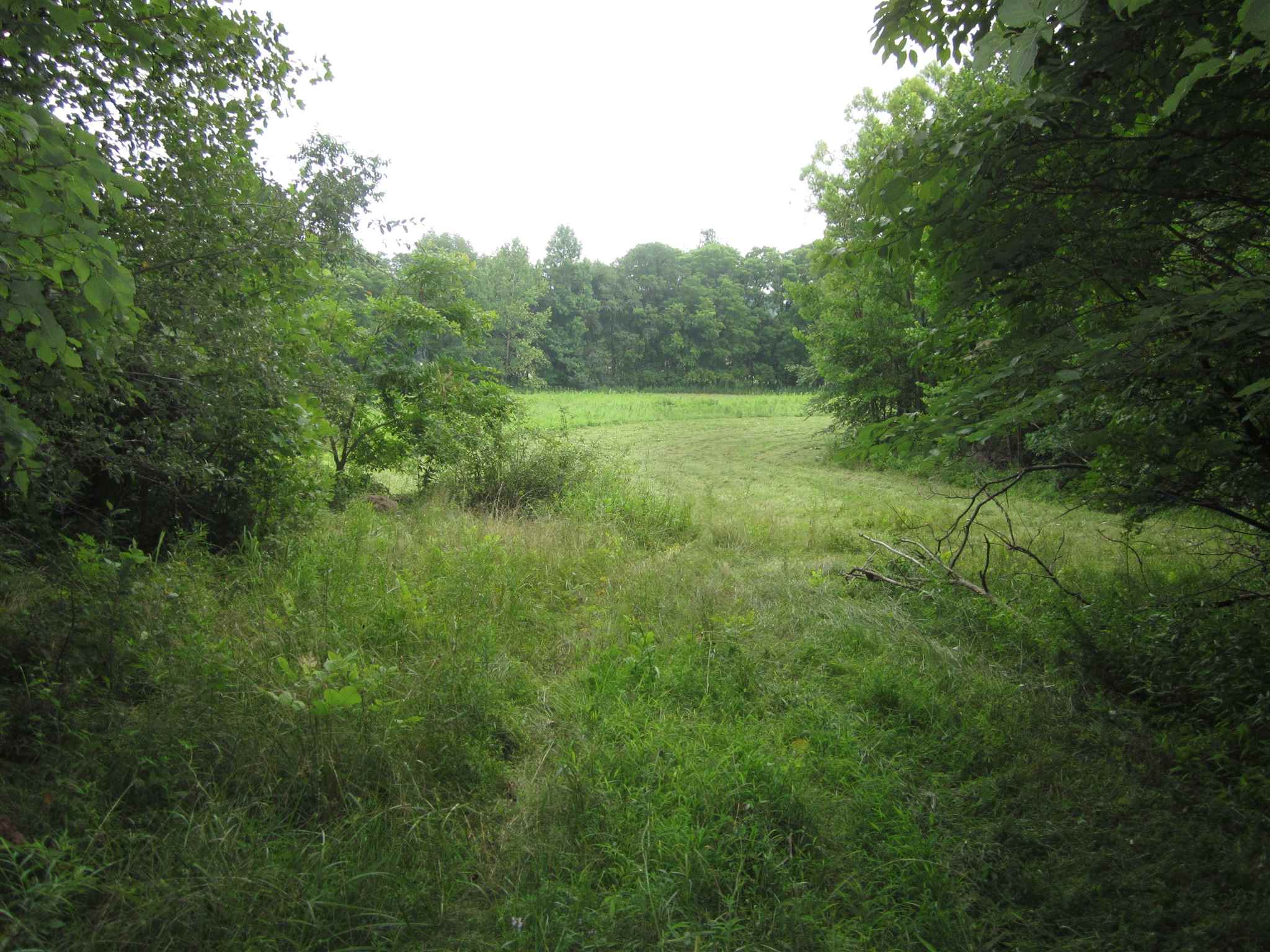 154.79-acres Straight Line Road Freedom, IN 47431 - Photo 23 of 36 Gallery Image 23