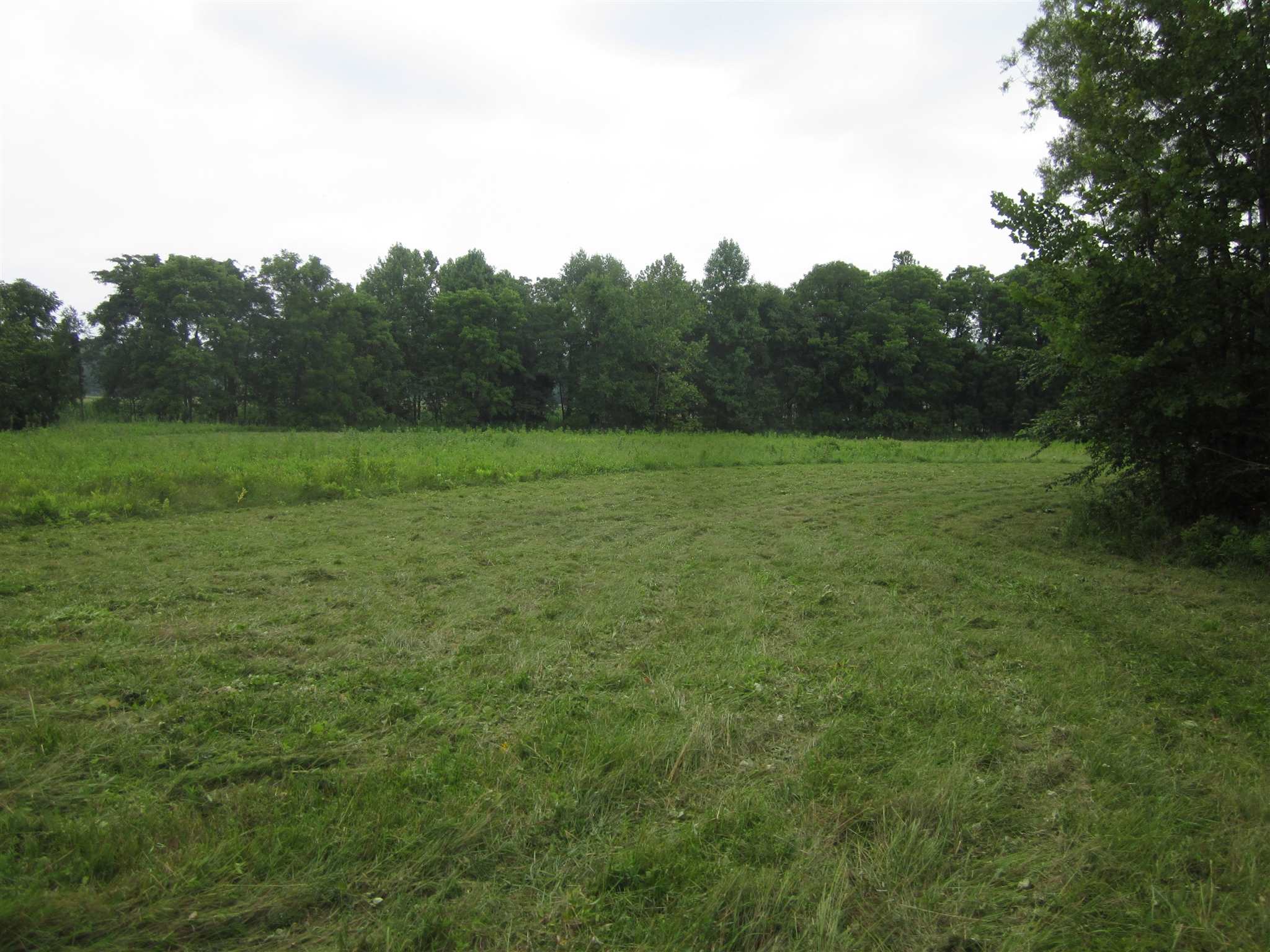 154.79-acres Straight Line Road Freedom, IN 47431 - Photo 25 of 36 Gallery Image 25