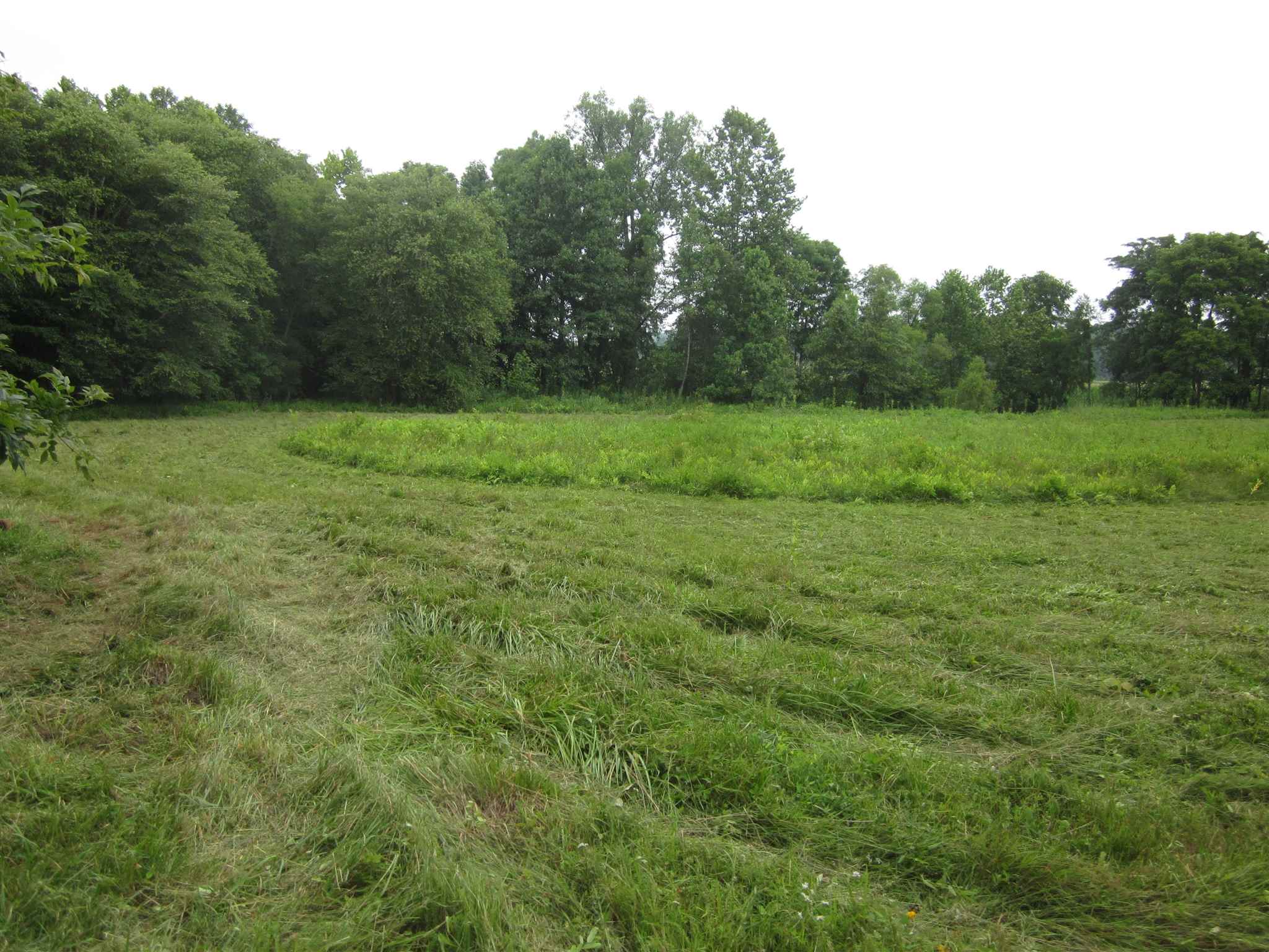 154.79-acres Straight Line Road Freedom, IN 47431 - Photo 26 of 36 Gallery Image 26