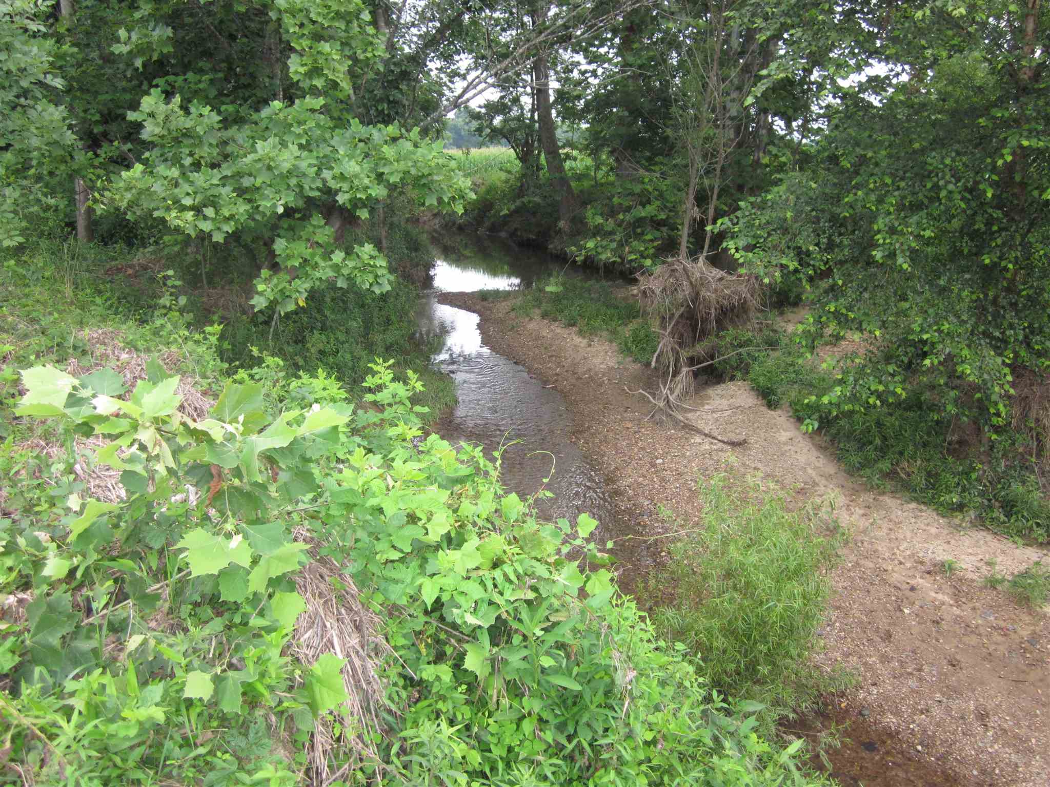 154.79-acres Straight Line Road Freedom, IN 47431 - Photo 27 of 36 Gallery Image 27
