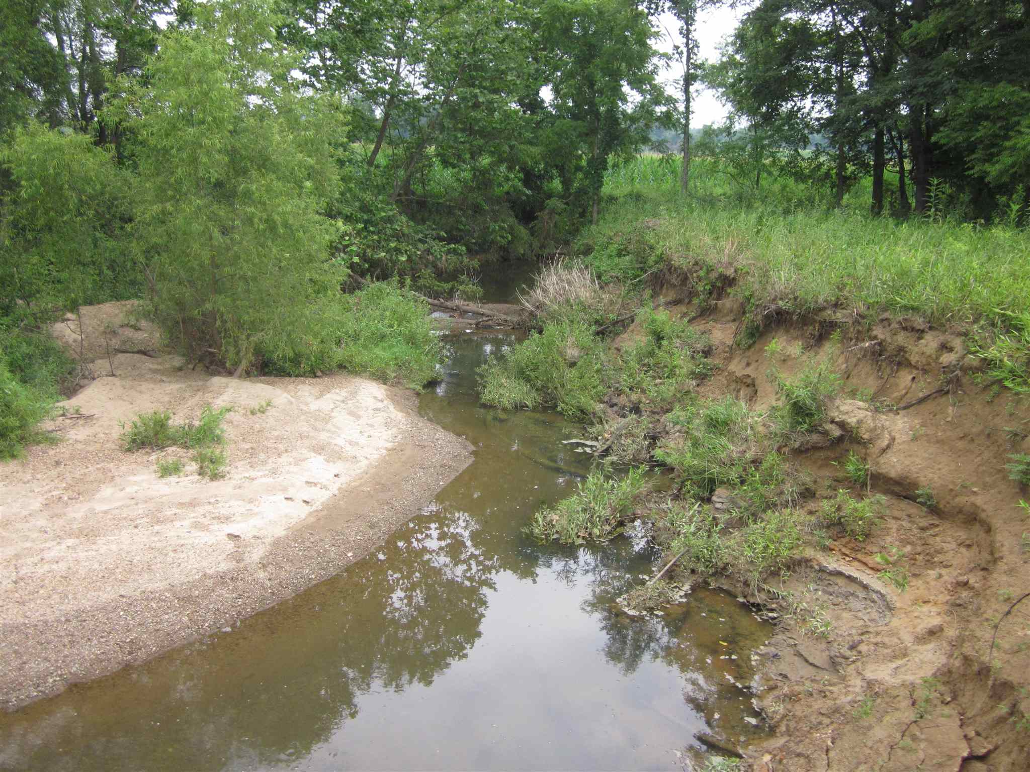 154.79-acres Straight Line Road Freedom, IN 47431 - Photo 28 of 36 Gallery Image 28