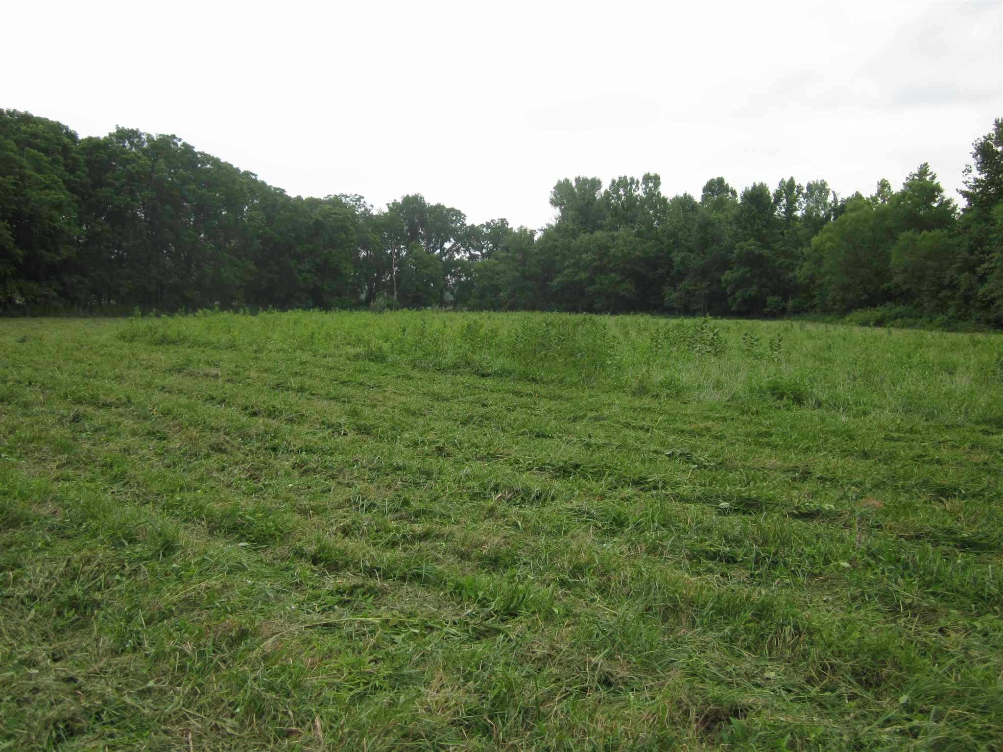 154.79-acres Straight Line Road Freedom, IN 47431 - Photo 29 of 36 Gallery Image 29