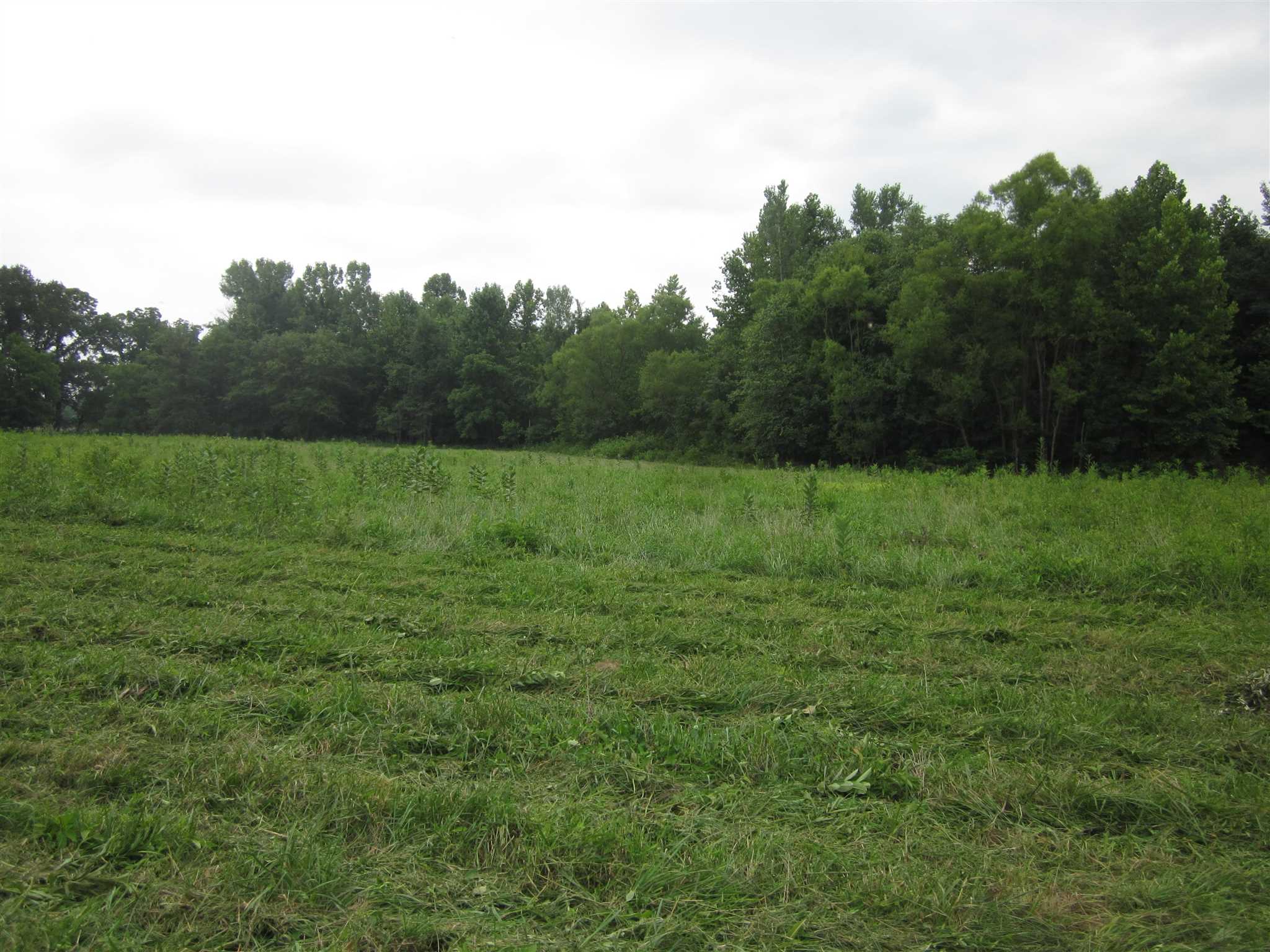 154.79-acres Straight Line Road Freedom, IN 47431 - Photo 30 of 36 Gallery Image 30