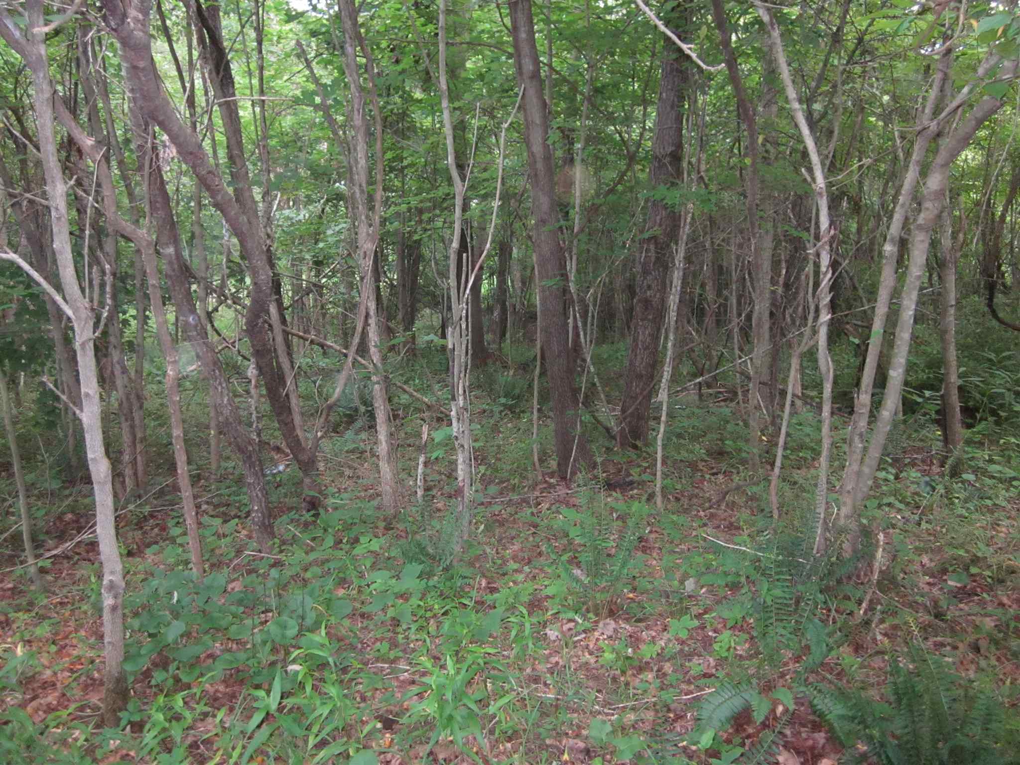 154.79-acres Straight Line Road Freedom, IN 47431 - Photo 31 of 36 Gallery Image 31