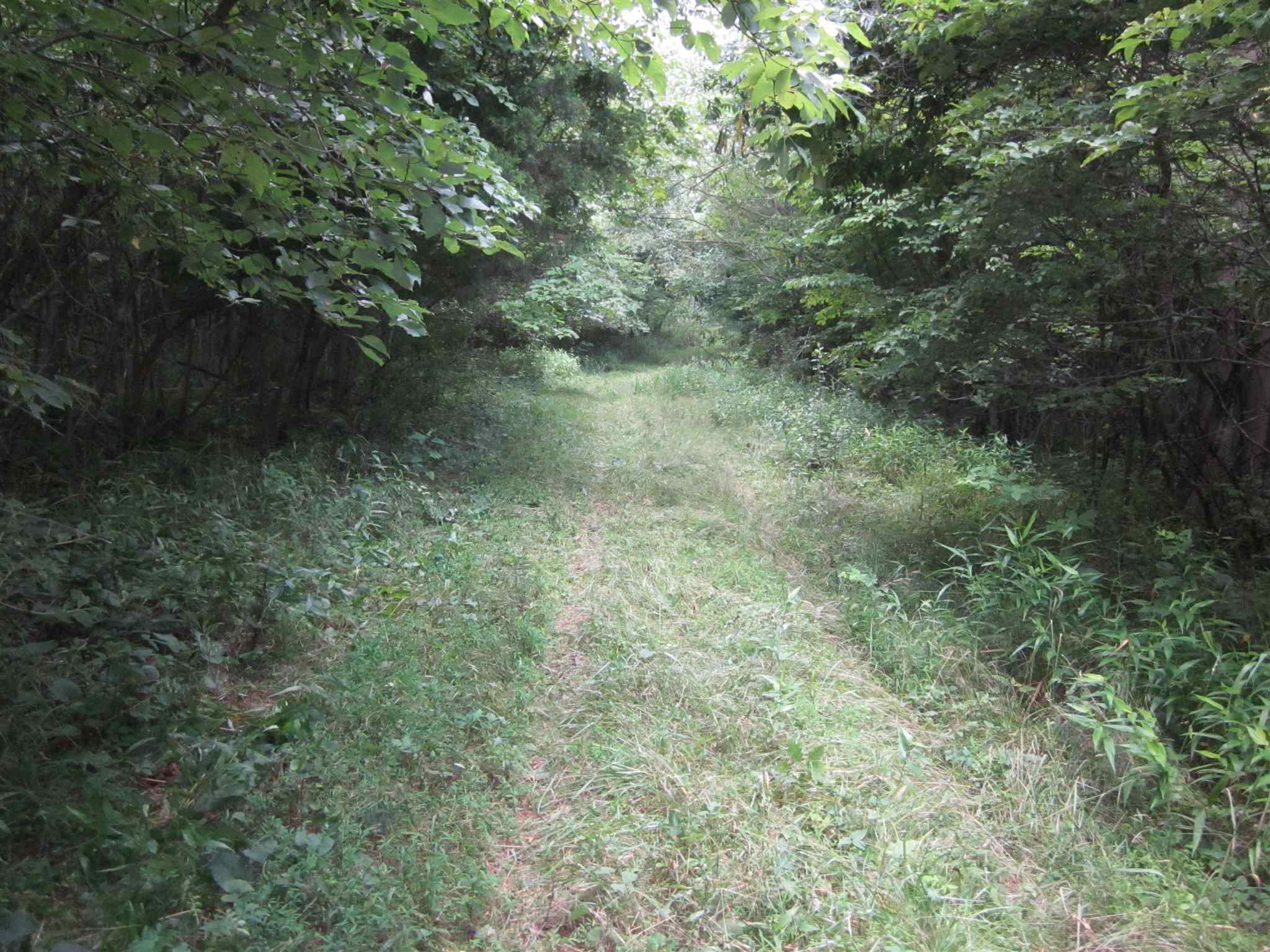 154.79-acres Straight Line Road Freedom, IN 47431 - Photo 32 of 36 Gallery Image 32