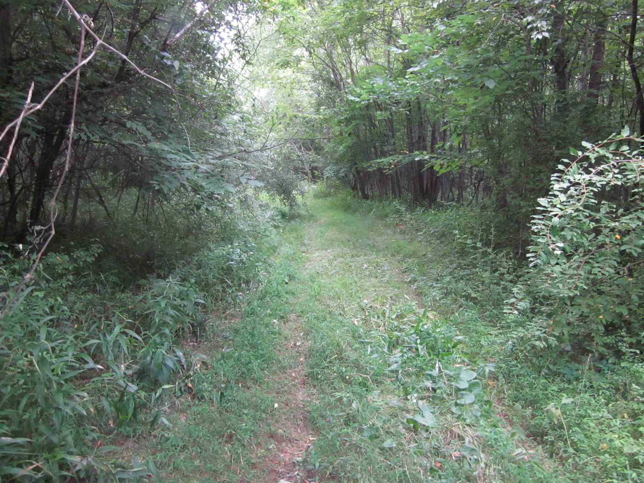 154.79-acres Straight Line Road Freedom, IN 47431 - Photo 33 of 36 Gallery Image 33