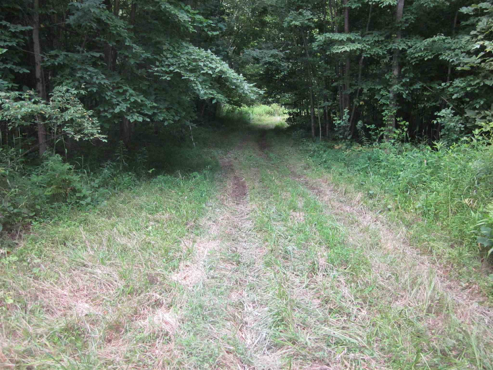 154.79-acres Straight Line Road Freedom, IN 47431 - Photo 34 of 36 Gallery Image 34