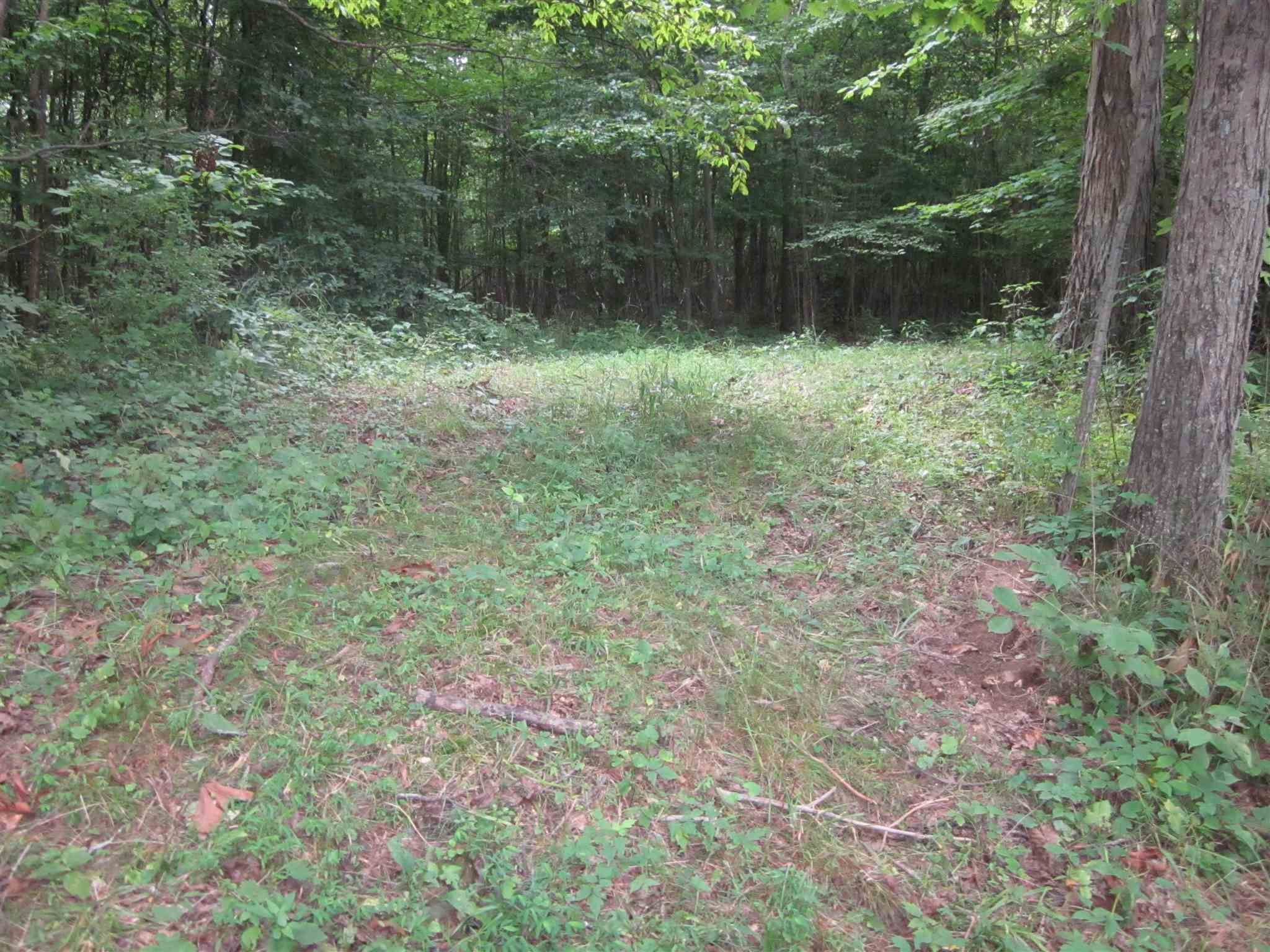 154.79-acres Straight Line Road Freedom, IN 47431 - Photo 35 of 36 Gallery Image 35