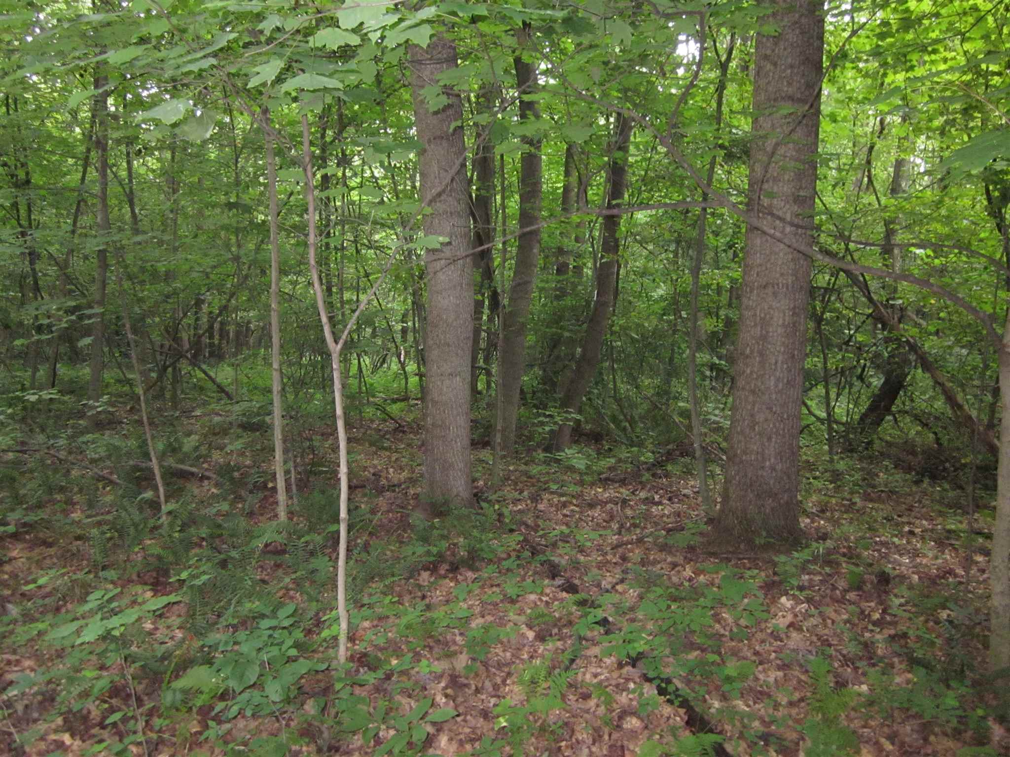 154.79-acres Straight Line Road Freedom, IN 47431 - Photo 36 of 36 Gallery Image 36