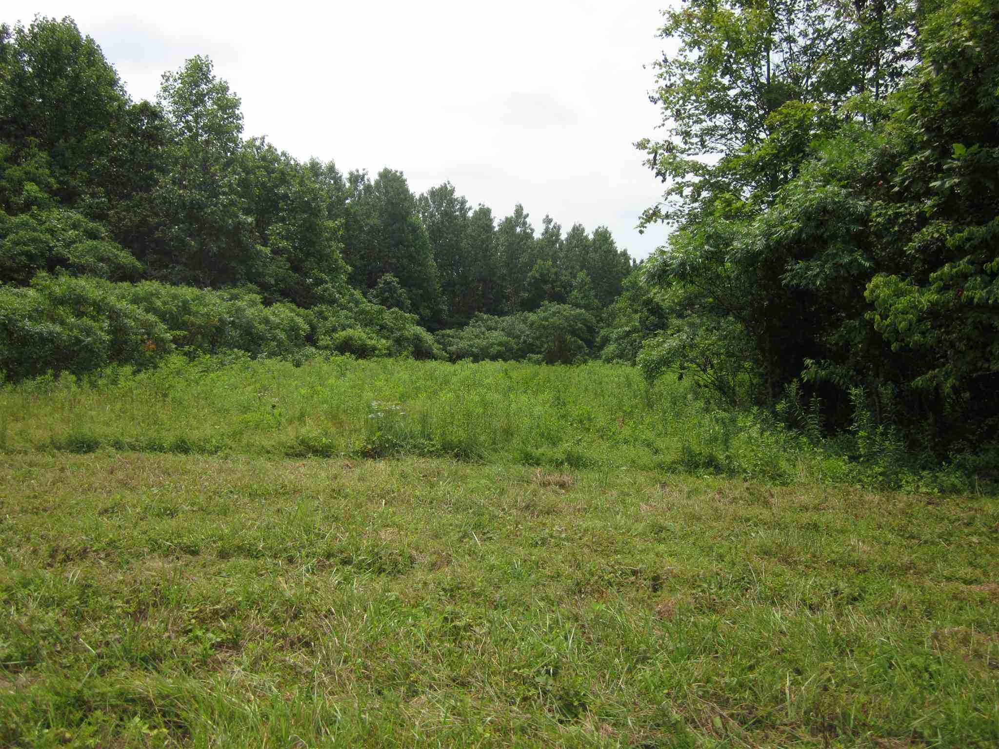 154.79-acres Straight Line Road Freedom, IN 47431 - Photo 8 of 36 Gallery Image 8