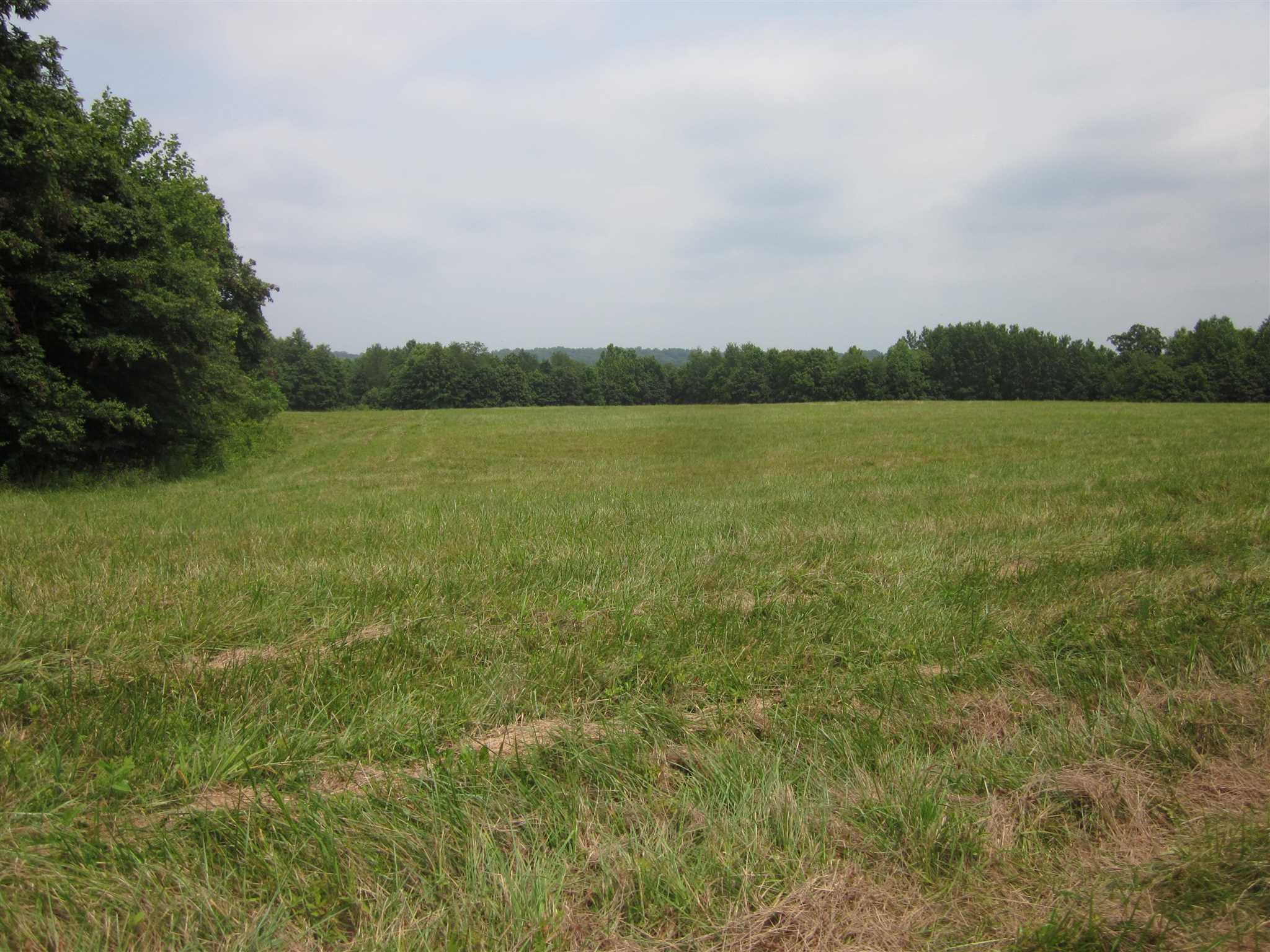 154.79-acres Straight Line Road Freedom, IN 47431 - Photo 9 of 36 Gallery Image 9
