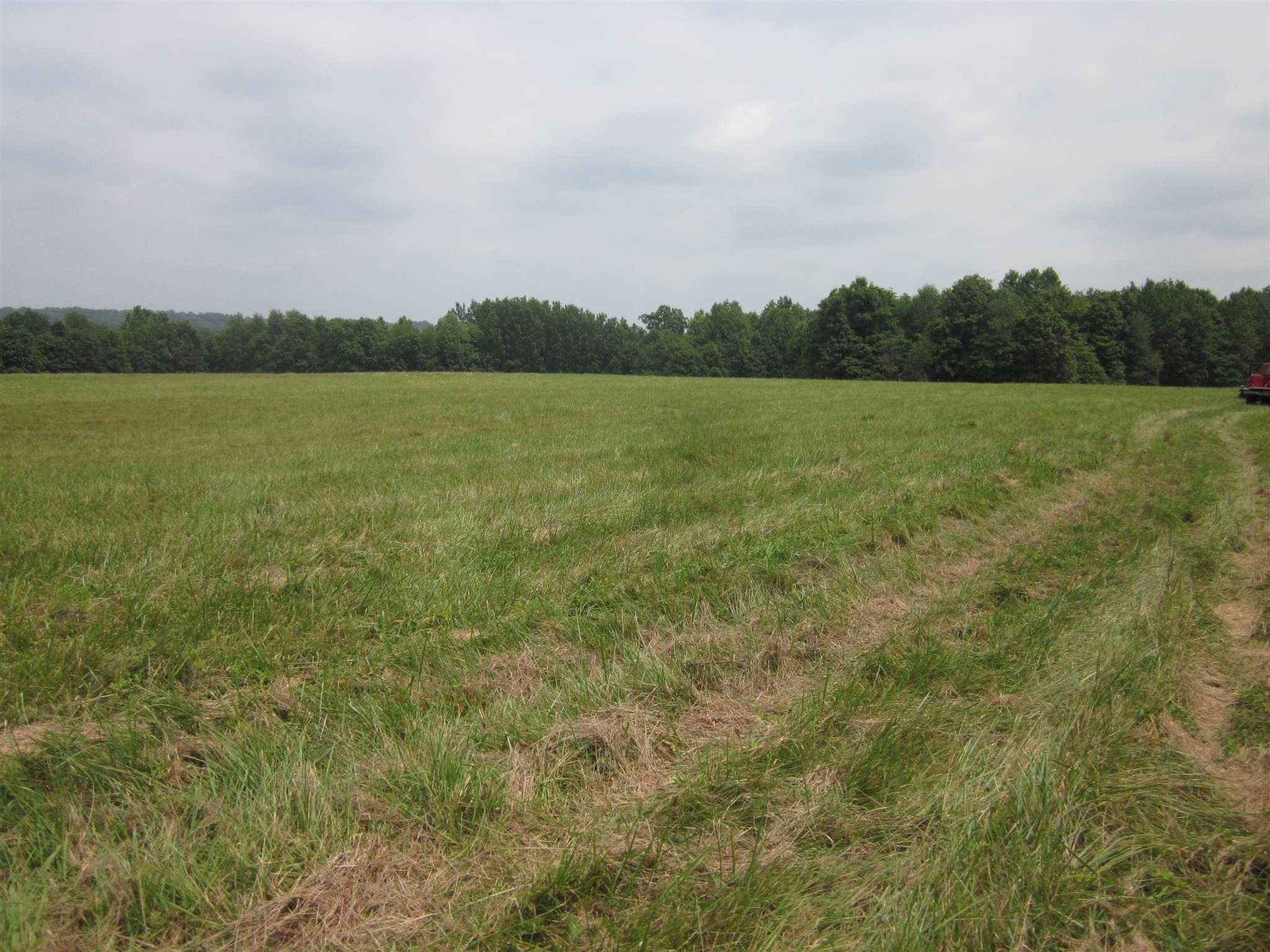 154.79-acres Straight Line Road Freedom, IN 47431 - Photo 10 of 36 Gallery Image 10