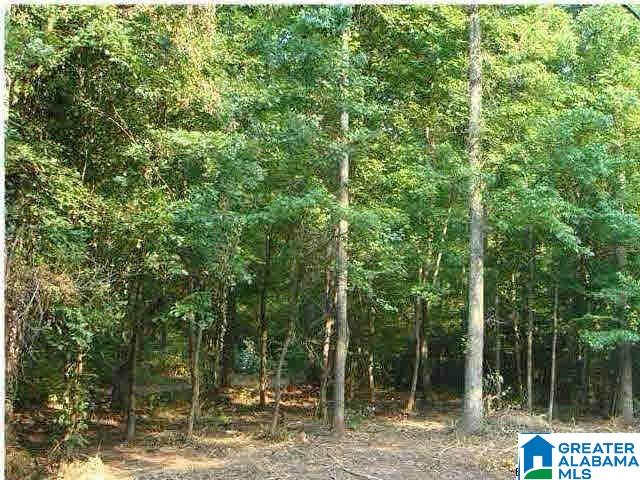Shipptown Road Empire, AL 35063 - Photo 4 of 4
