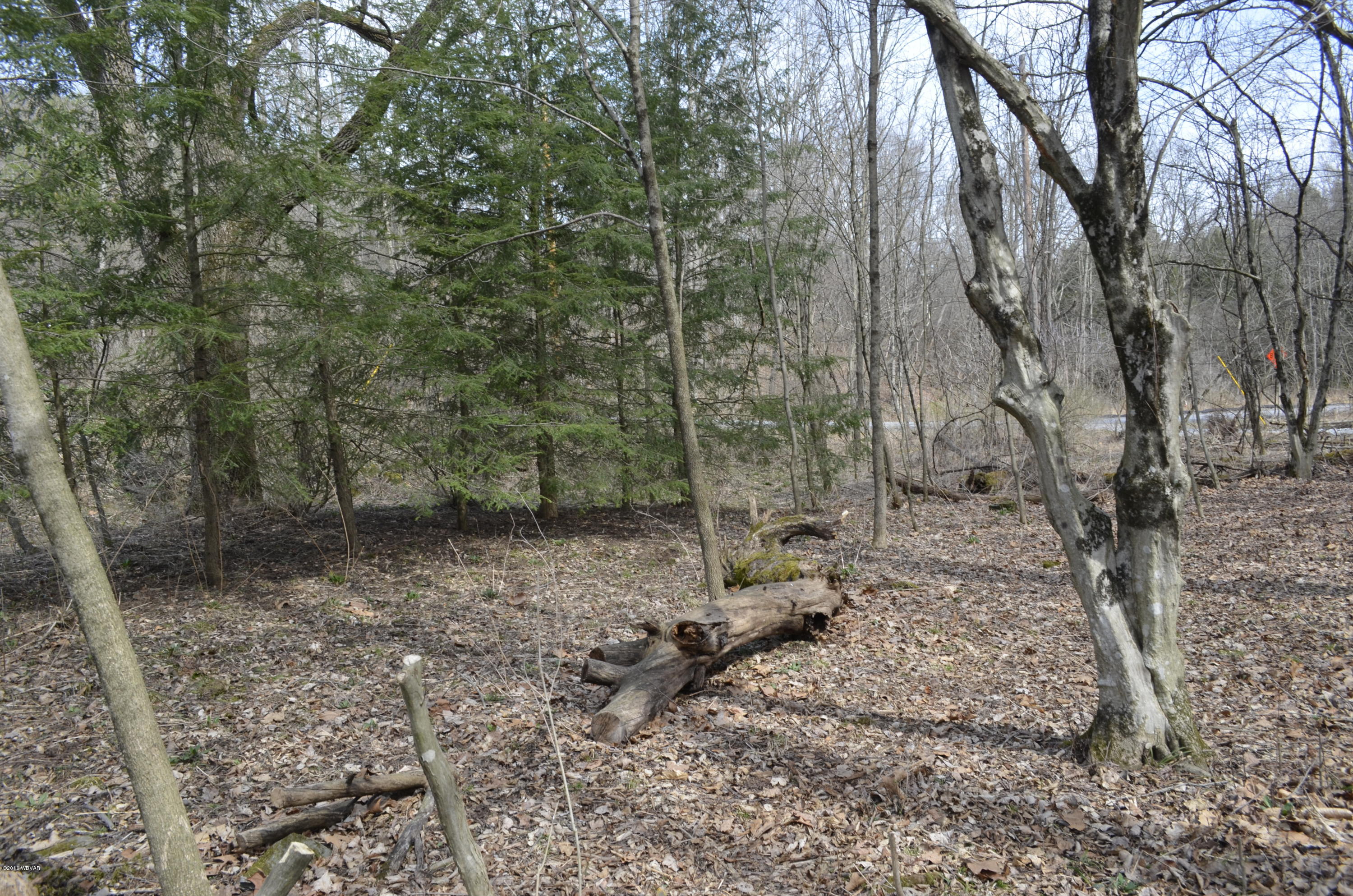 0 State 118 Route Unityville, PA 17774 - Photo 25 of 25 Lot View 4
