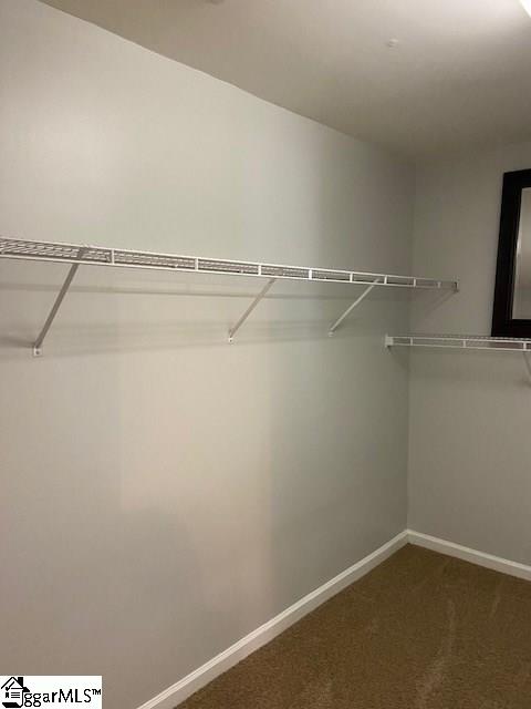 163 Spring Crossing Circle Greer, SC 29650 - Photo 23 of 29