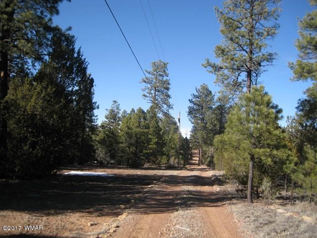 2910 Red Cinder Road Heber, AZ 85928 - Photo 18 of 27 a view of a yard