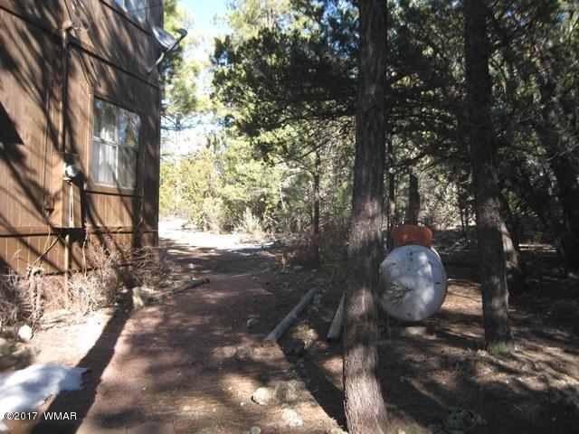 2910 Red Cinder Road Heber, AZ 85928 - Photo 19 of 27 a view of a back yard of the house