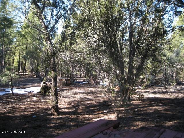 2910 Red Cinder Road Heber, AZ 85928 - Photo 23 of 27 a view of a yard with trees
