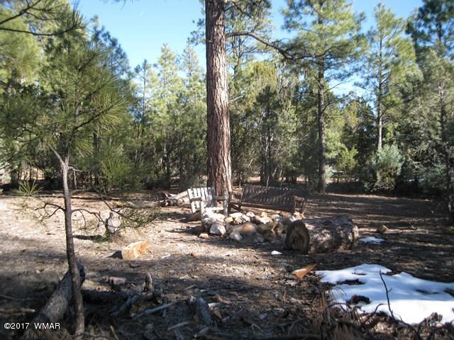 2910 Red Cinder Road Heber, AZ 85928 - Photo 25 of 27 a view of a forest filled with trees