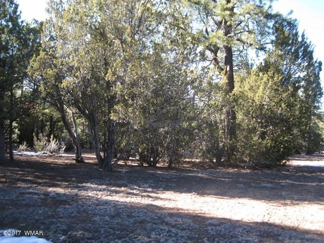 2910 Red Cinder Road Heber, AZ 85928 - Photo 27 of 27 a view of yard with green space