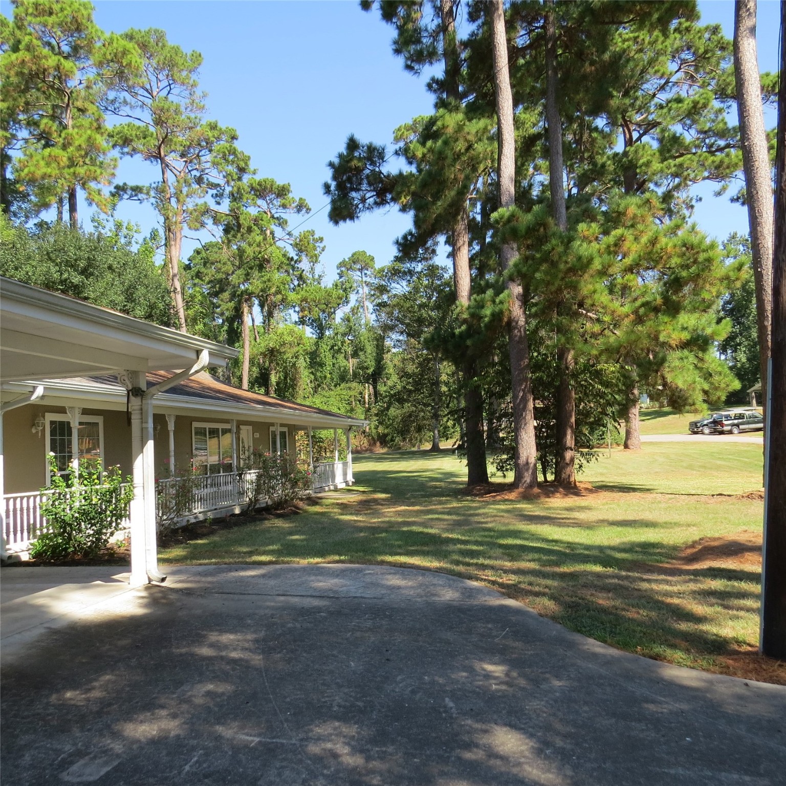 651 Sam Houston Loop Point Blank, TX 77364 - Photo 4 of 47 a front view of a house with a yard and trees