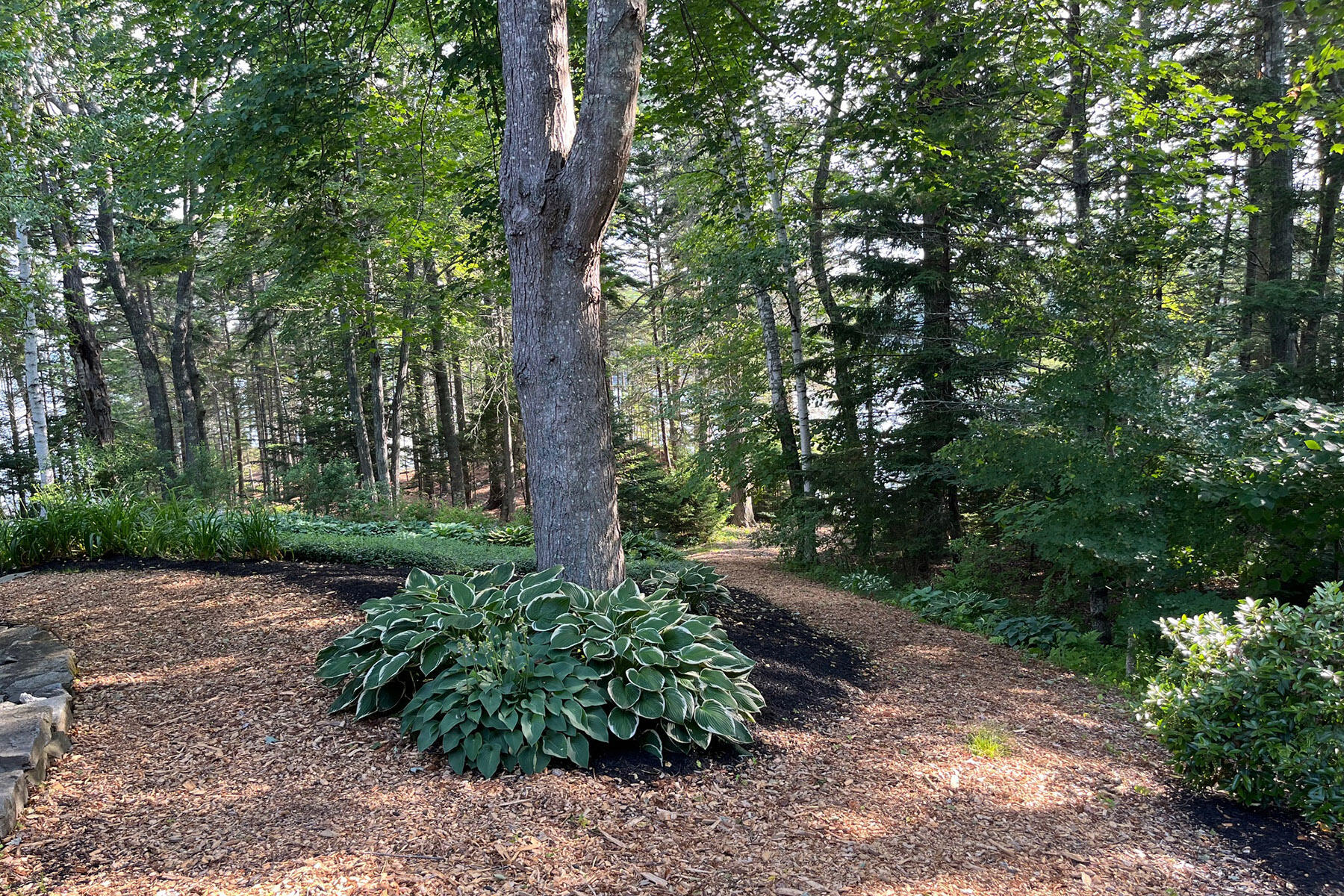 93 Governors Point Road Harpswell, ME 04079 - Photo 16 of 50 IMG_2521