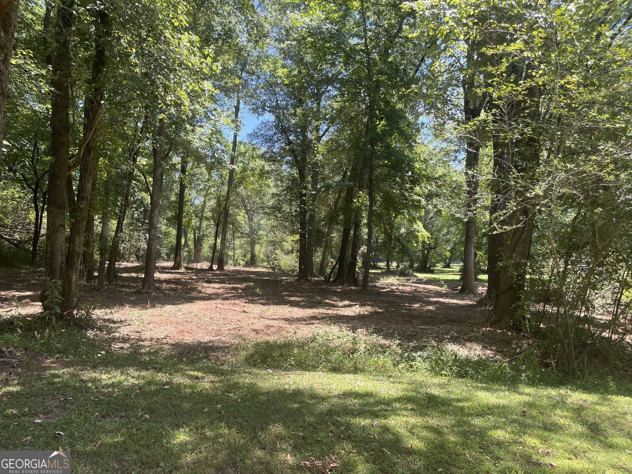 0 Sportsman Club Road Grantville, GA 30220 - Photo 9 of 46 a view of a tree in the middle of a yard