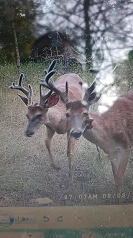 $110,000 | 3205 East 14 Mile Road, Bitely, MI 49309