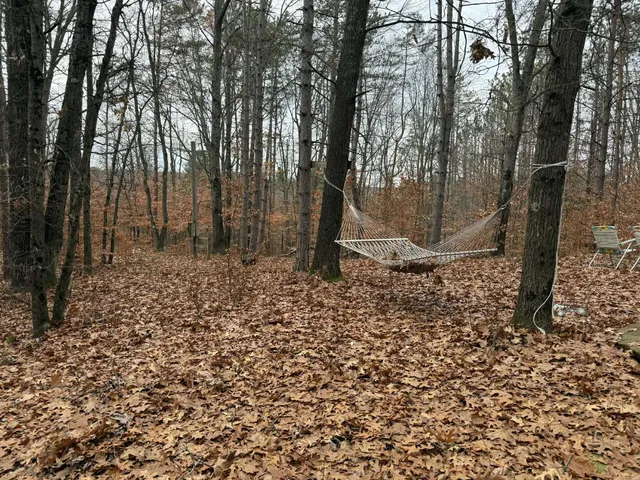 $110,000 | 3205 East 14 Mile Road, Bitely, MI 49309