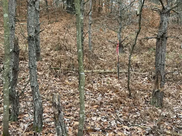 $110,000 | 3205 East 14 Mile Road, Bitely, MI 49309