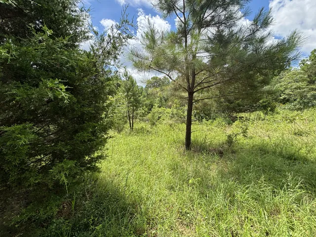 a view of outdoor space and trees all around