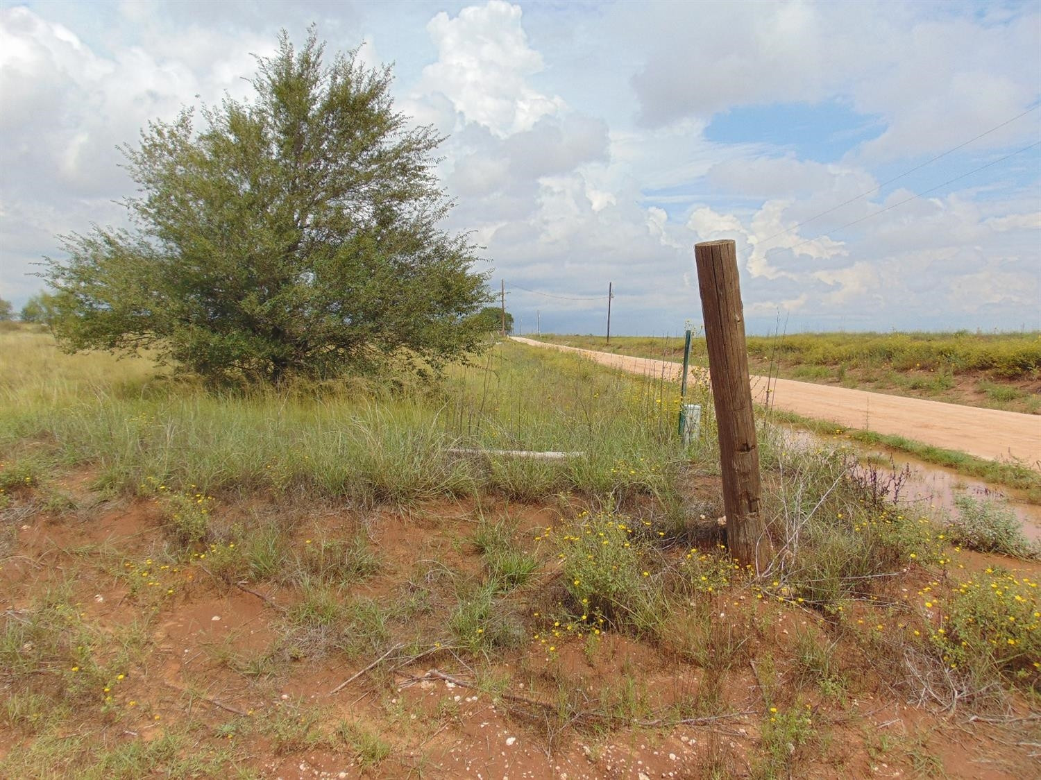 850 Lovebird Road Smyer, TX 79367 - Photo 1 of 2 Photo 1