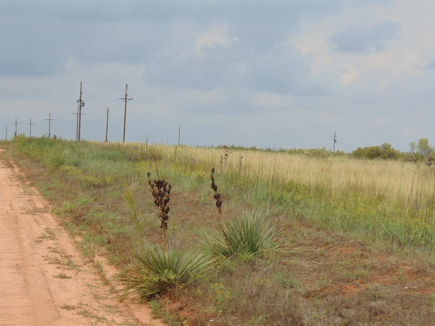 850 Lovebird Road Smyer, TX 79367 - Photo 2 of 2 Photo 2