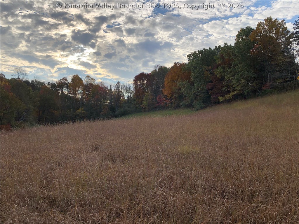 32-3 Long Hollow Road Letart, WV 25253 - Photo 7 of 19 Gallery Image 7
