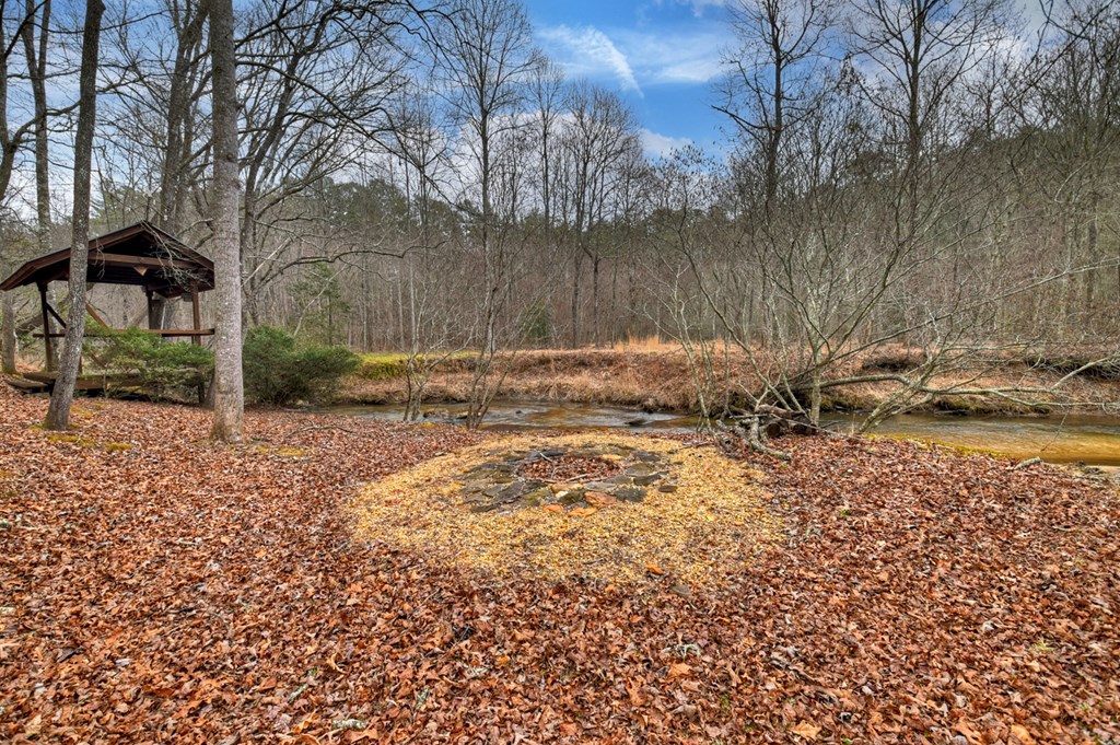 1175 Lickskillet Road Blue Ridge, GA 30513 - Photo 13 of 52 Gallery Image 13