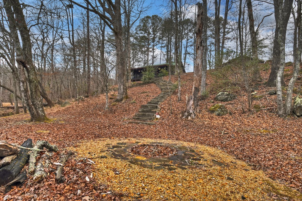 1175 Lickskillet Road Blue Ridge, GA 30513 - Photo 16 of 52 Gallery Image 16