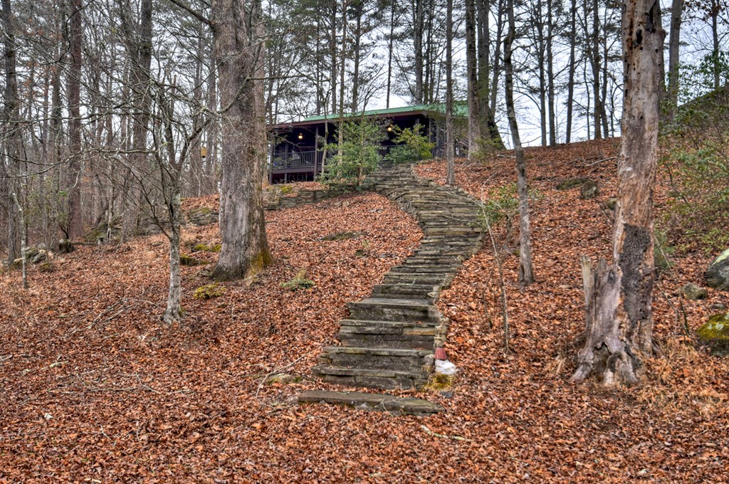 1175 Lickskillet Road Blue Ridge, GA 30513 - Photo 17 of 52 Gallery Image 17