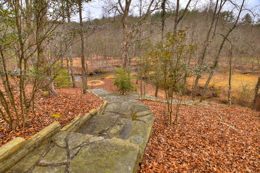 1175 Lickskillet Road Blue Ridge, GA 30513 - Photo 9 of 52 Gallery Image 9