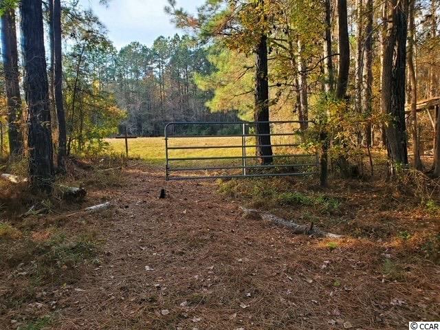 Ip Canal Road Galivants Ferry, SC 29544 - Photo 1 of 4 Gallery Image 1