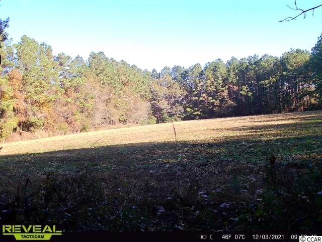 Ip Canal Road Galivants Ferry, SC 29544 - Photo 2 of 4 Gallery Image 2