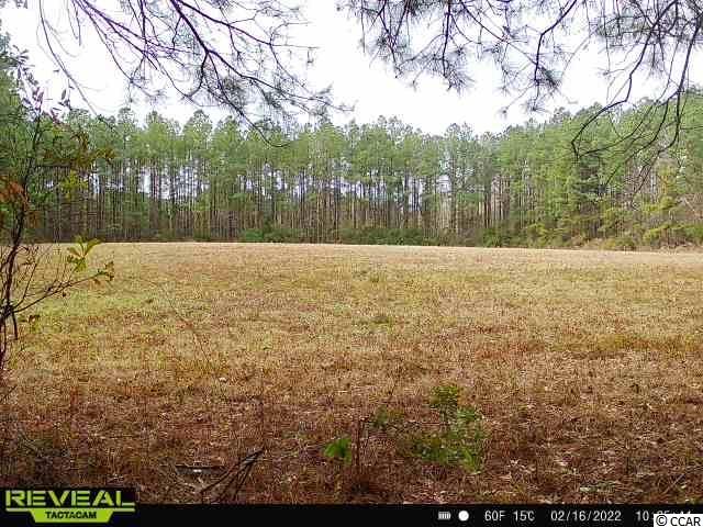Ip Canal Road Galivants Ferry, SC 29544 - Photo 3 of 4 Gallery Image 3