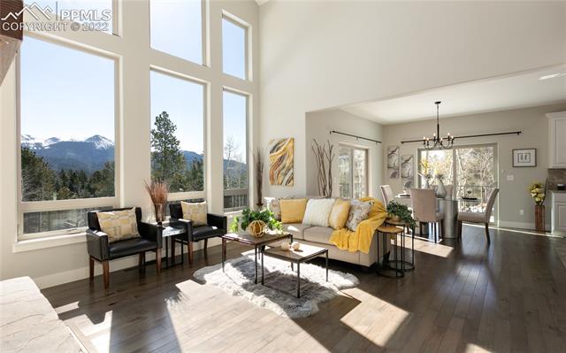 548 Paradiso Road Divide, CO 80814 - Photo 5 of 37 Living Room
