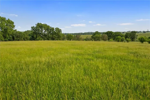 $325,000 | Northeast 124th Street, Kearney, MO 64060