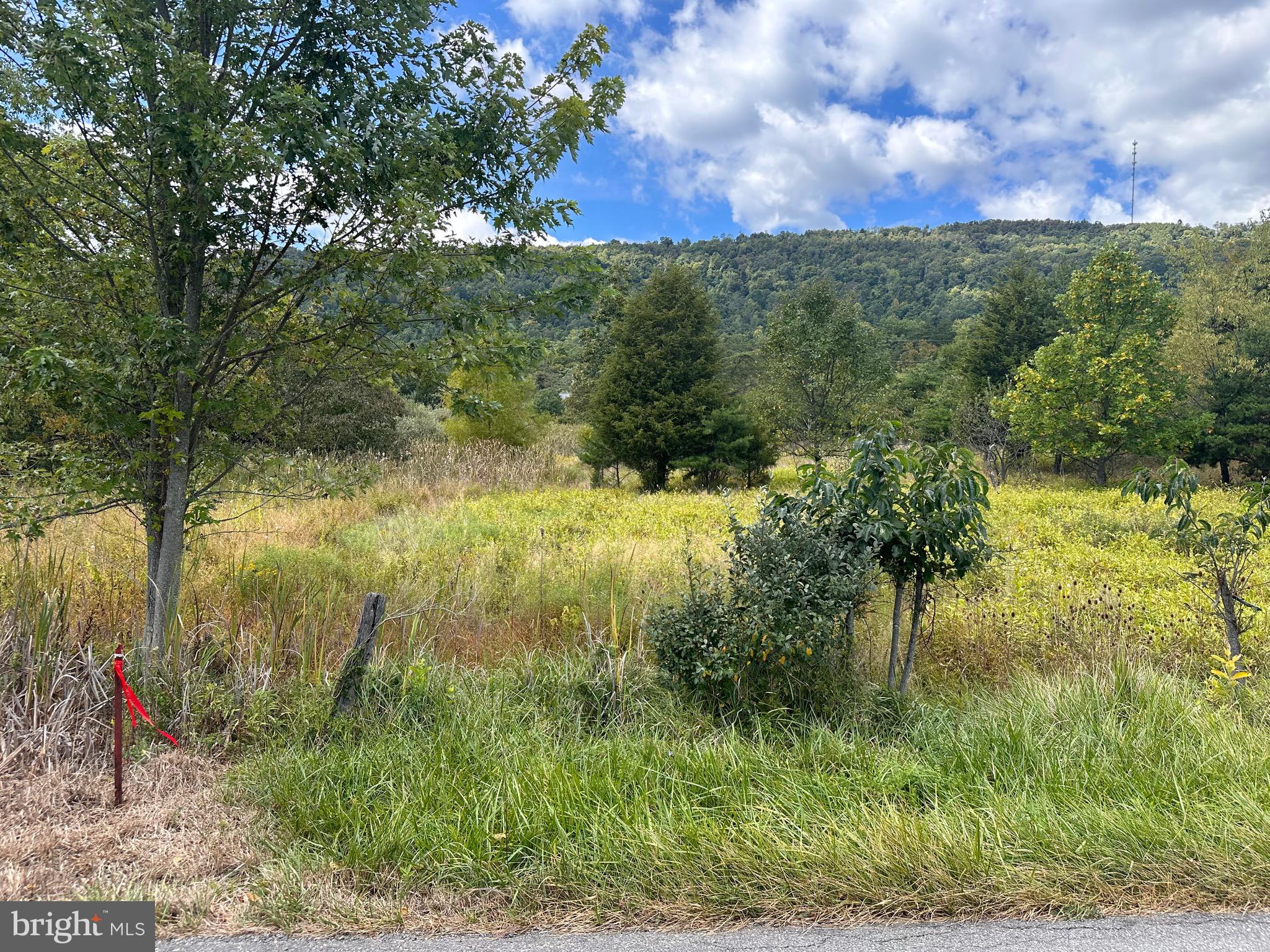 Knobley Road Keyser, WV 26726 - Photo 19 of 19