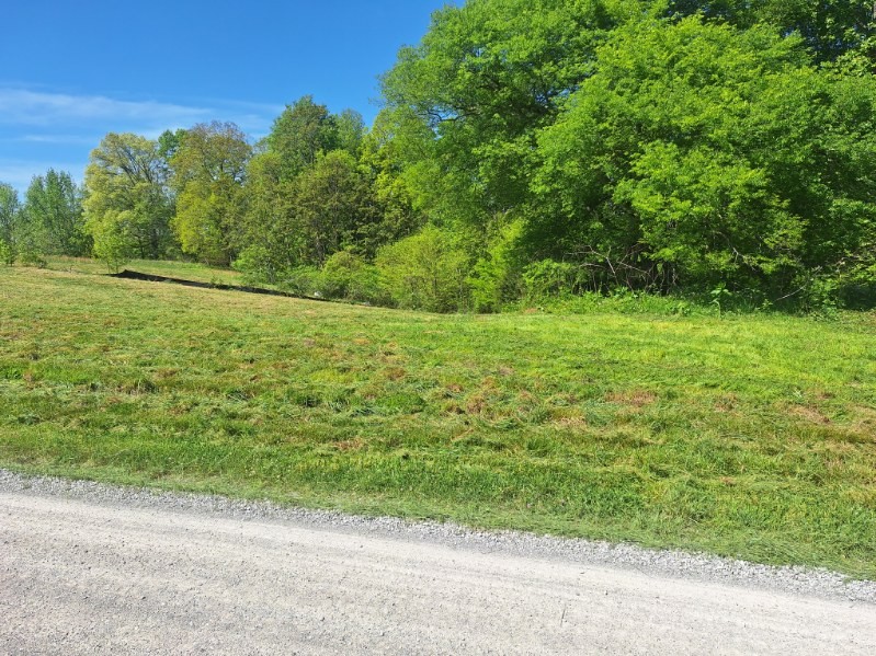 0 Lake Bluff Baxter, TN 38544 - Photo 18 of 23 a view of a yard with a trees