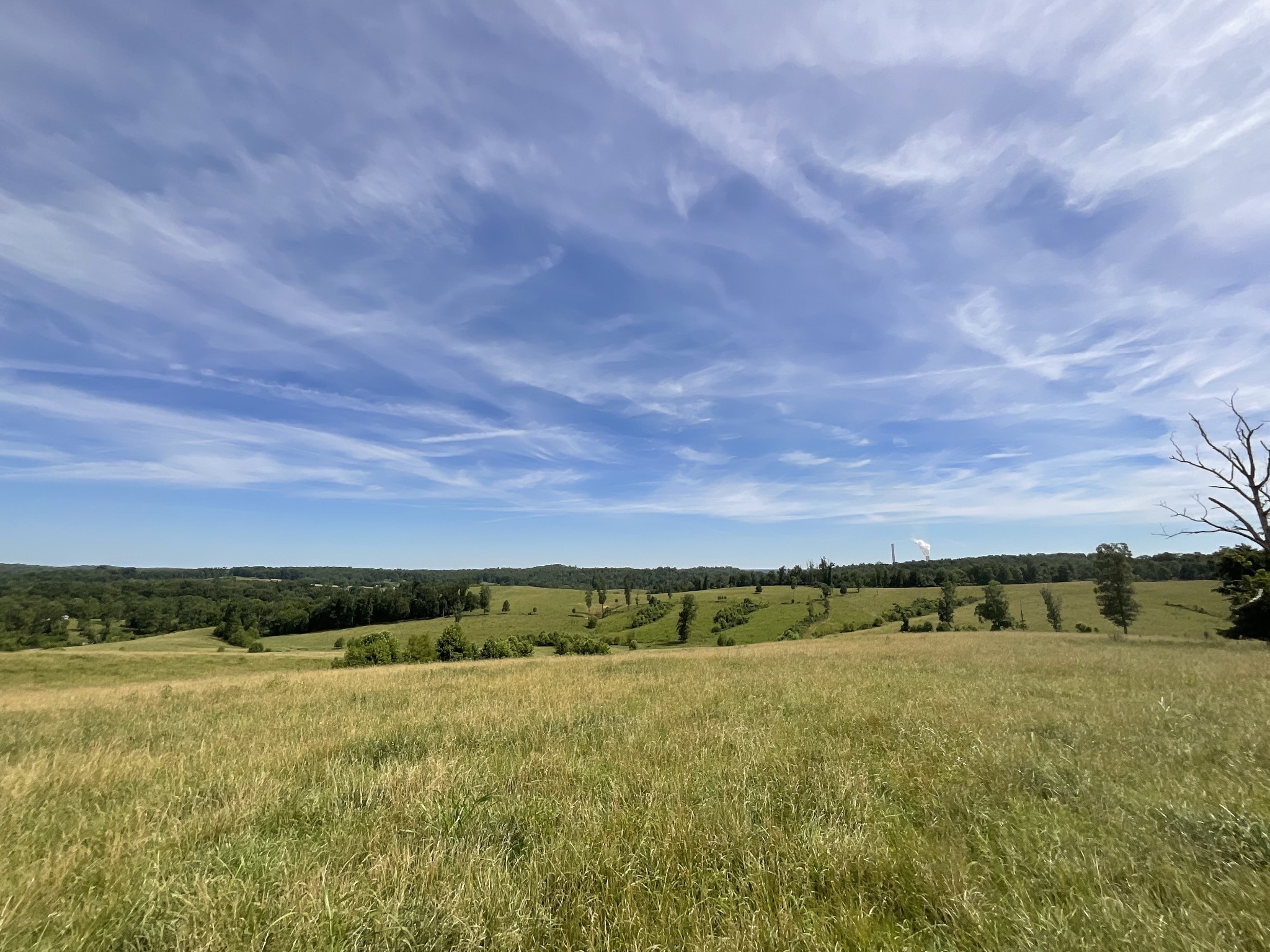 8 Brigham Branch Road Erin, TN 37061 - Photo 11 of 29 a view of an ocean view