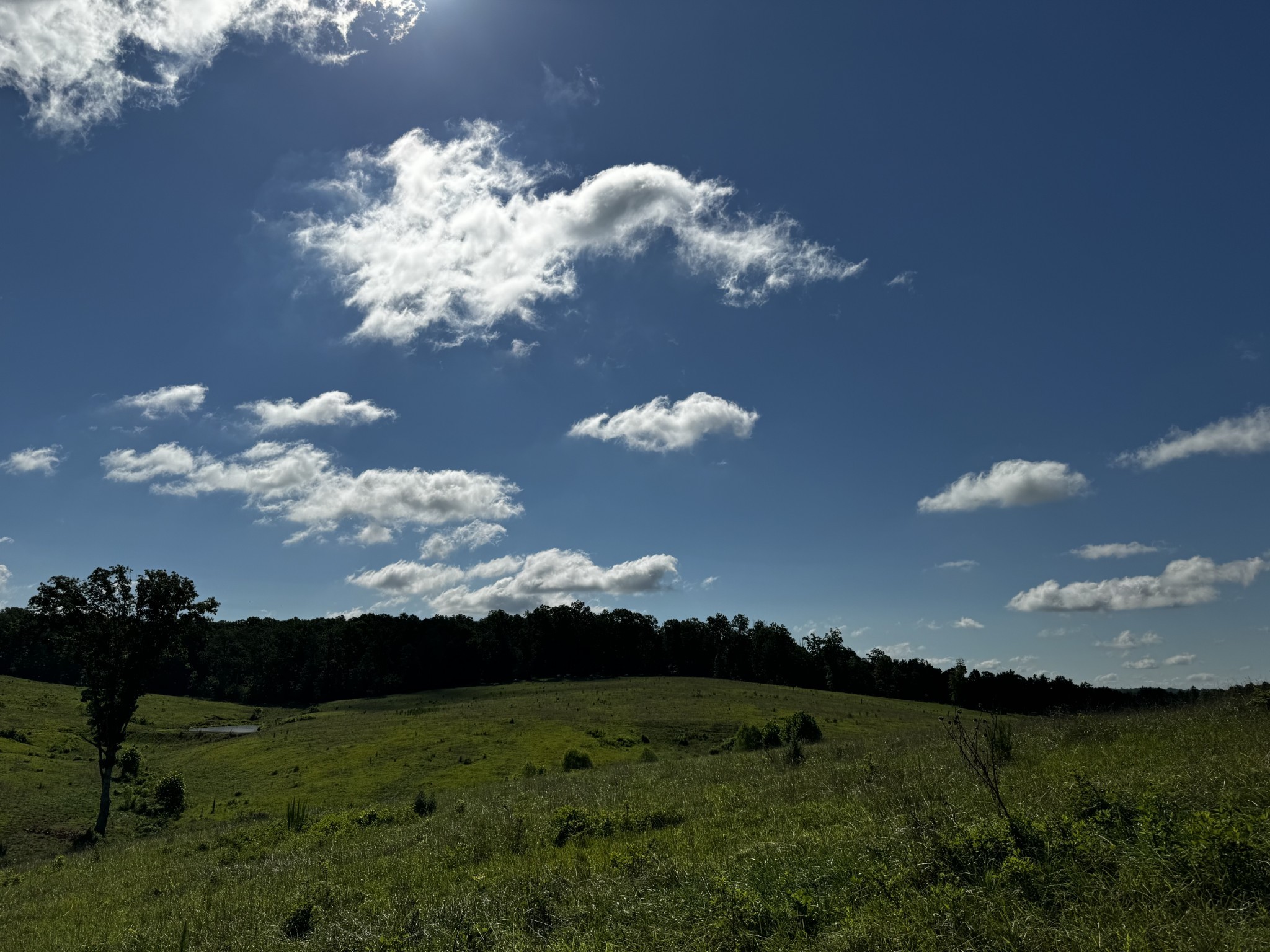 8 Brigham Branch Road Erin, TN 37061 - Photo 26 of 29 a view of a city