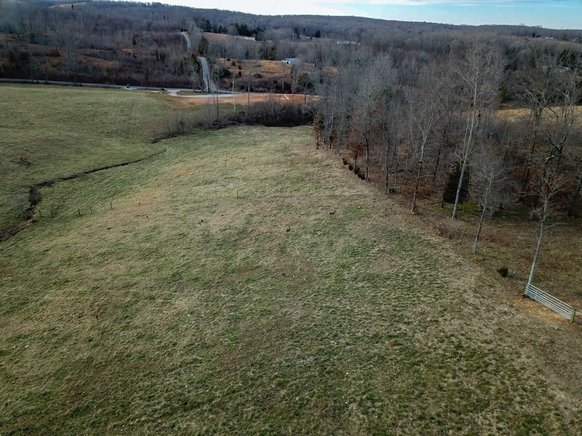 8 Brigham Branch Road Erin, TN 37061 - Photo 8 of 29 a view of a dry yard